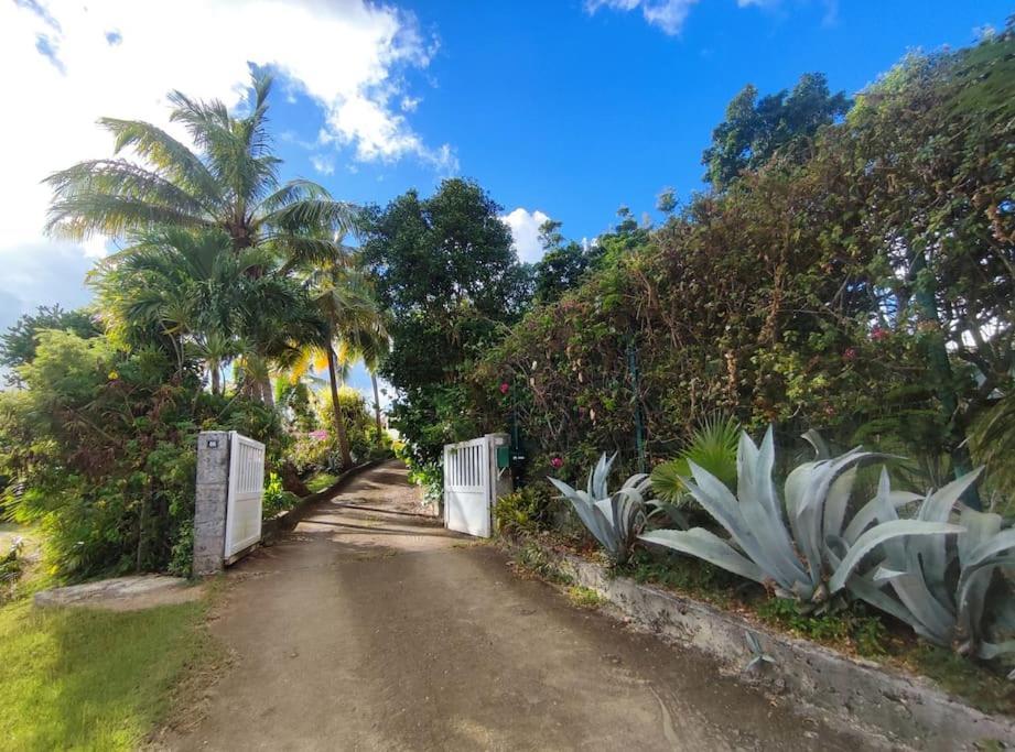 Appartement - Residence Piscine La Villa Bel 圣安尼 外观 照片